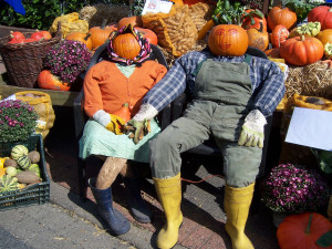 Pumpkin_family